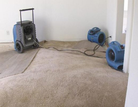 FloorPartners drying wet carpet