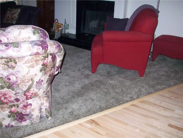 Carpet is in this fun Living room and a beautiful Maple wood lives in the adjacent Dining room!